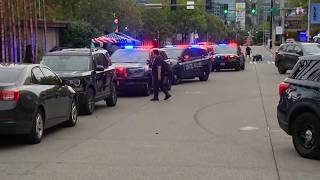 Witnesses report there were many shots fired at Seattle food festival