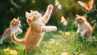 12 Hours of Soft Music for Cats 🐈 Cozy Sleep Atmosphere 🏠 Sleep Music for Sleeping Cats &amp; Cat TV