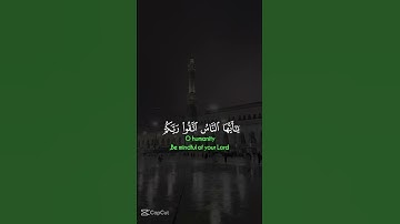 قران كريم🎧💔 راحه نفسيه🎧💔 الشيخ ياسر الدوسري🎧💔