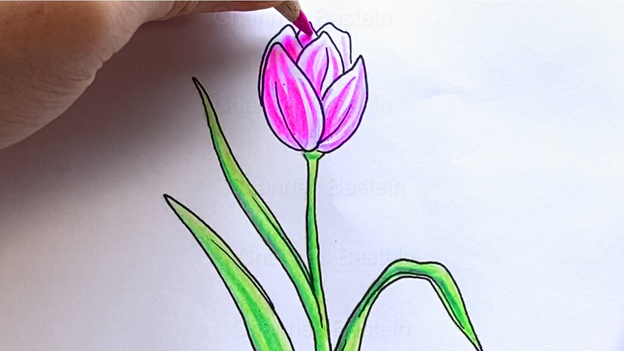 Featured image of post Bleistift Zeichnen Ideen Leicht Rose