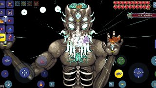 SUPERSONIC XENO POPPER VS EVERY BOSS  (terraria)