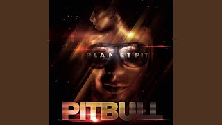 Video thumbnail of "Pitbull - Took My Love"
