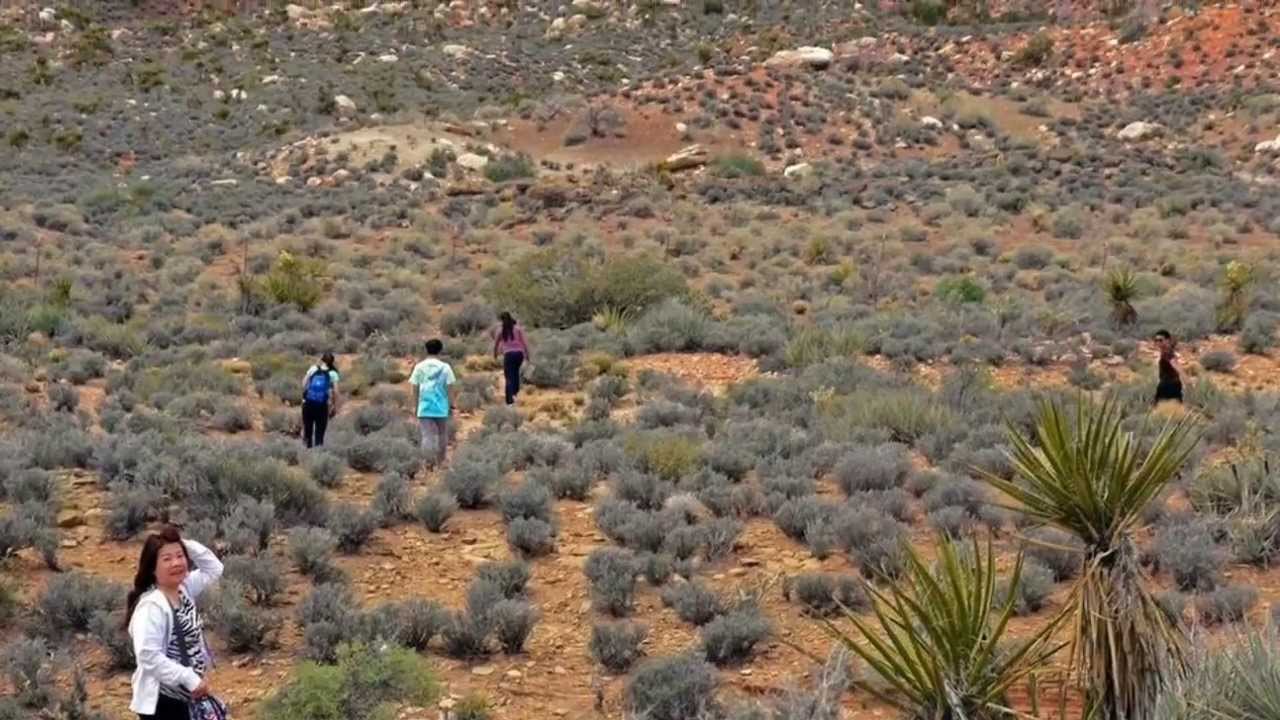 West Coast US 2013 : UNITED in City of Lights