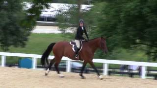 Video Of Pacino Ridden By Elizabeth Egan From Shownet