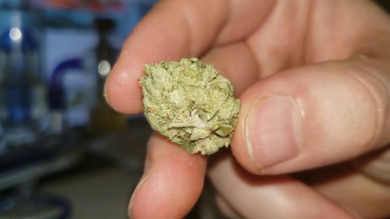 STRAIN REVIEW 068: pink bubba AAA - Theherbcentre