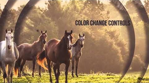 Elegant Media Opener| VideoHive Templates | After Effects Project Files