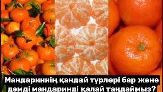 Мандариннің қандай түрлері бар және дәмді мандаринді қалай таңдаймыз?