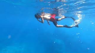 躬身下潛 鴨式入水 示範 duckdive #自由潛水 #freediving