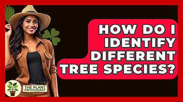 How Do I Identify Different Tree Species? - The Plant Enthusiast