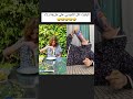 قولولي بقي بتاكلوه ازاي كوميديا ضحك ضحكة Comedyreels Shortvideo