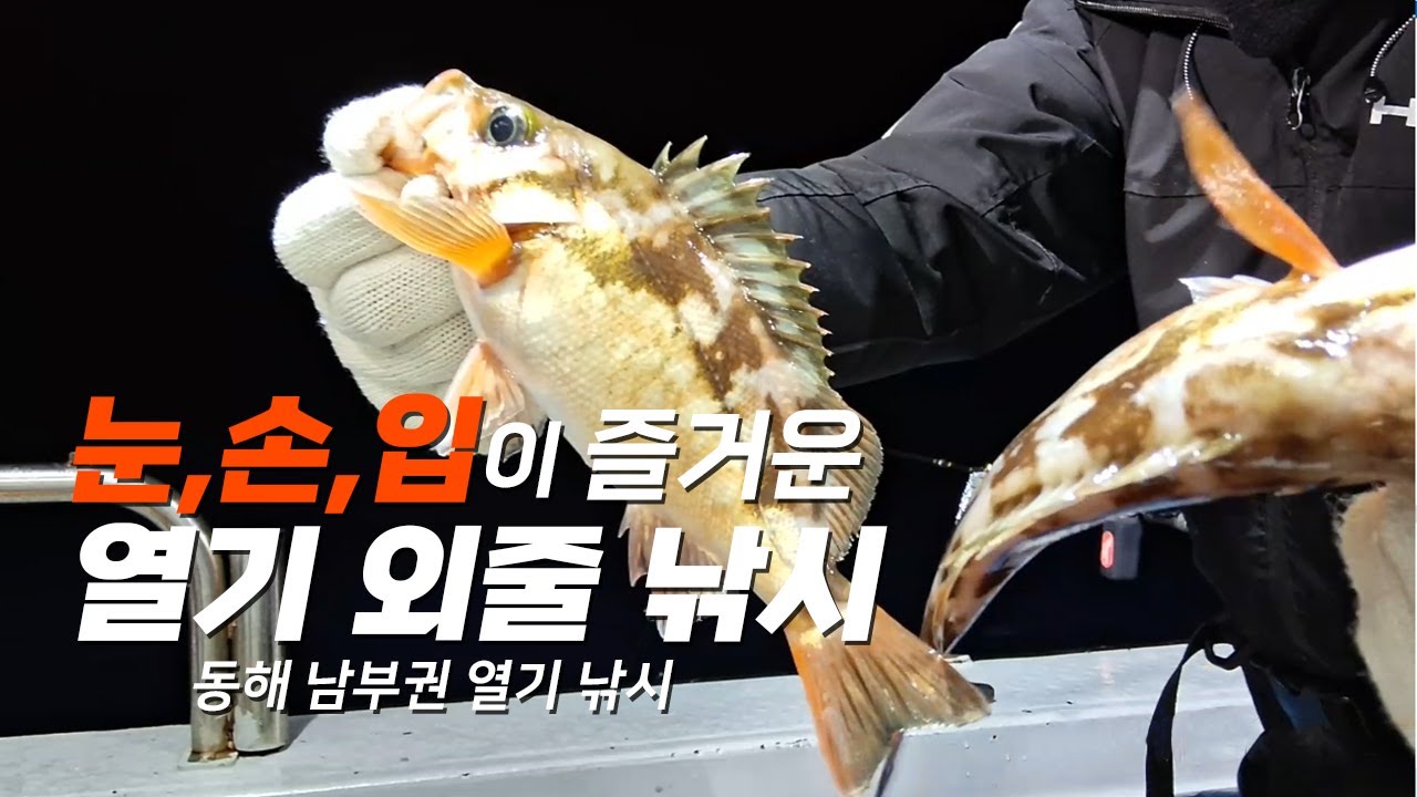 눈,손,입이 즐거운 열기 외줄낚시(동해 남부권 낚시)