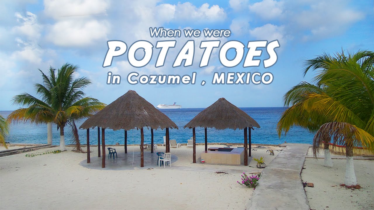 entertainment center When we were Potatoes[1/8] : Maya Villa