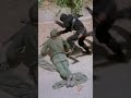 Epic Ninja Vs Soldiers Combat Action Packed Battle Americanninja 