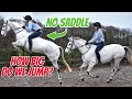 BAREBACK SHOWJUMPING *how big can we go* ~ Vlogmas day 12