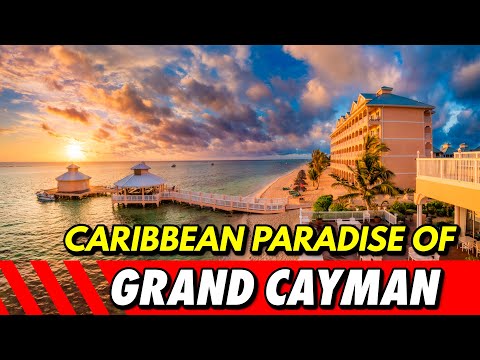 Video: Isola di Grand Cayman - Casa caraibica di Stingray City