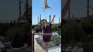 Про Стамбул большое видео ❤️ переходи смотри подписывайся 😉 #стамбул2025 #travel #стамбул #турция