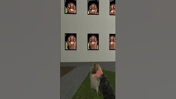 Part-1110 #garrysmod #yoshiegaming