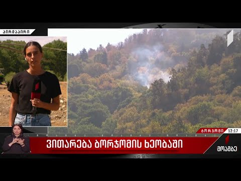 ვითარება ბორჯომის ხეობაში