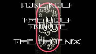 Pure Kult - The Phoenix - The Cult Tribute