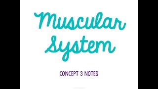 Unit 2 Support and Motion Concept 3 Notes