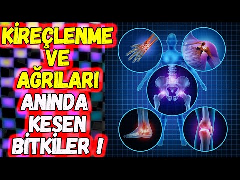 Kireçlenmeyi Anında Kesen BİTKİ