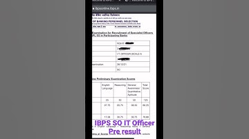 MY IBPS SO IT Officer Pre exam score card