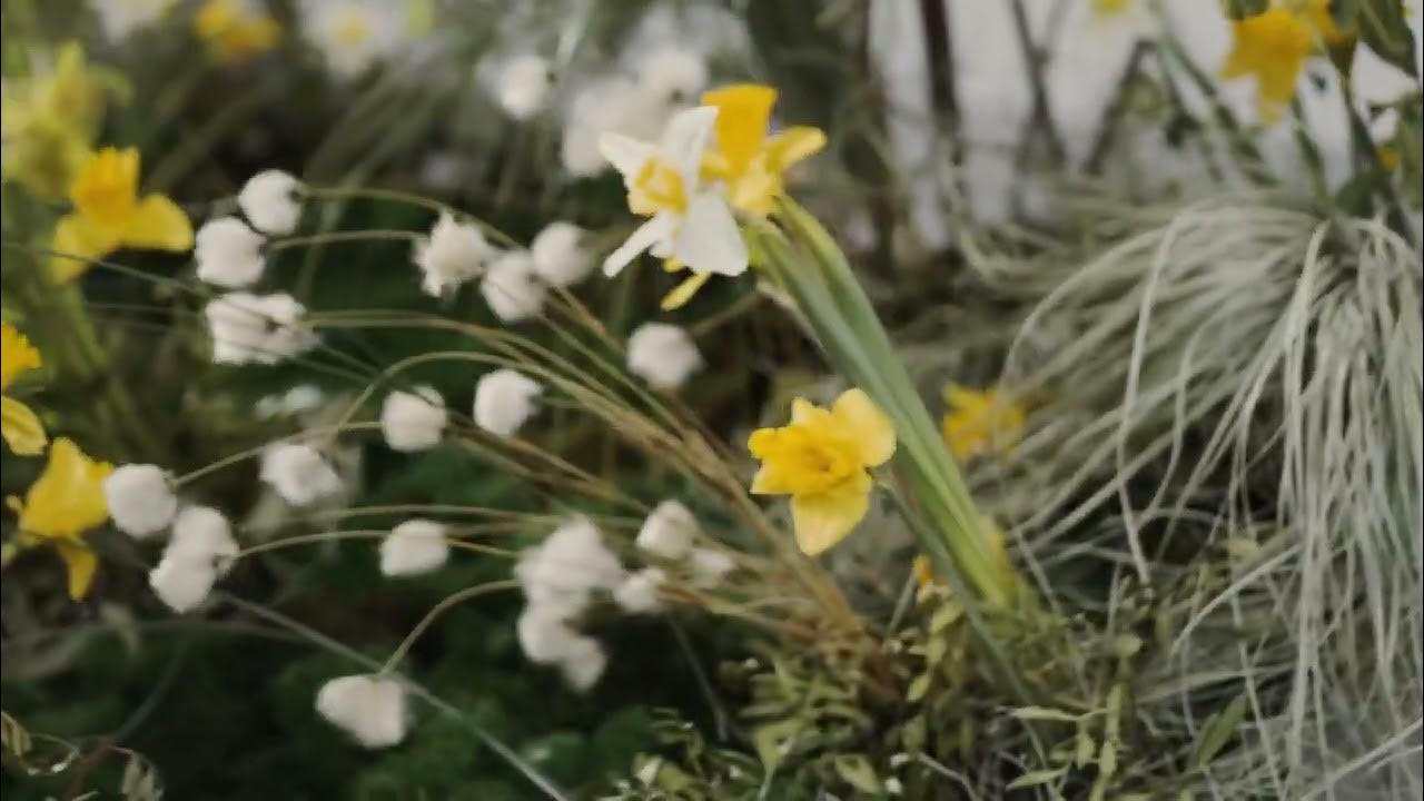 The Paper Kites Bloom Lyrics YouTube