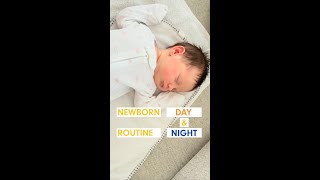 Newborn Schedule | Newborn Routines Day and Night