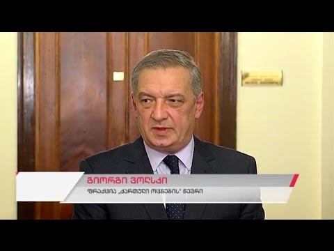 საპარლამენტო უმრავლესობის წევრების შეხვედრა გერმანიის ბუნდესტაგის წევრთან