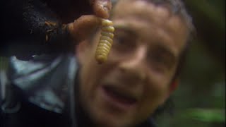 ピーナツバター味の幼虫食べてみた | Man vs. Wild サバイバルゲーム (ディスカバリーチャンネル)