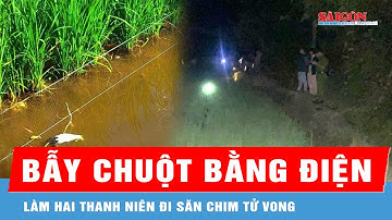 Khởi tố người bẫy chuột bằng điện khiến 2 thanh niên tử vong