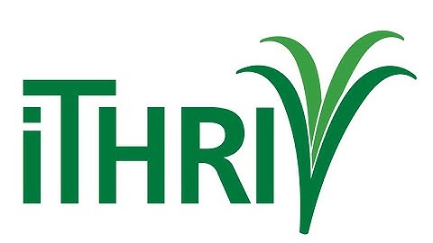 Team Science: The Effective Team