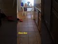 #cleaningtime #clean#beforeAfter#California #housewifelife #kitchen #cleaning #cleaningmotivation