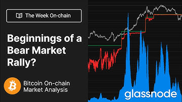 The Week On-chain: Beginnings of a Bear Market Rally? - Week 31 2022 (Bitcoin and Ethereum Analysis)