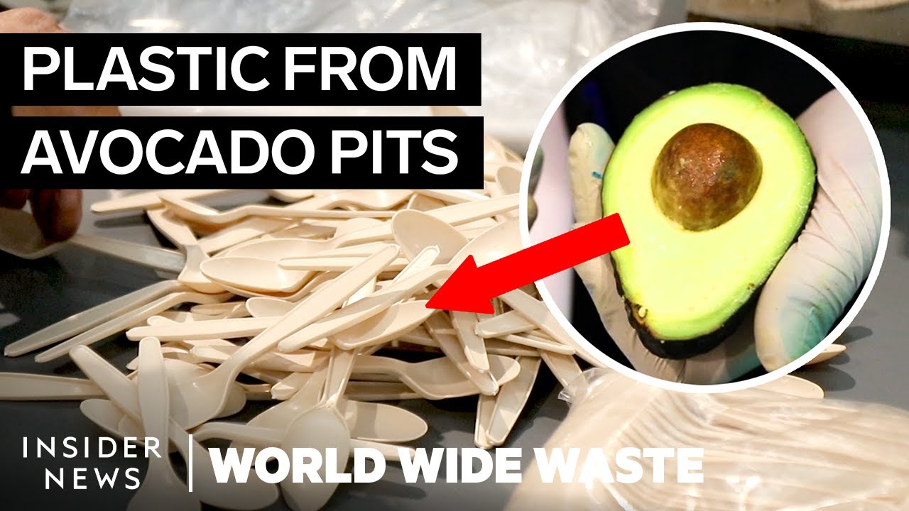 Outline Video How Avocado Waste Is Turned Into Plastic | World Wide Waste