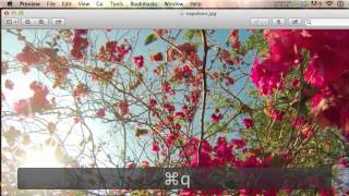 How to Convert JPG to PNG on Mac screenshot 4