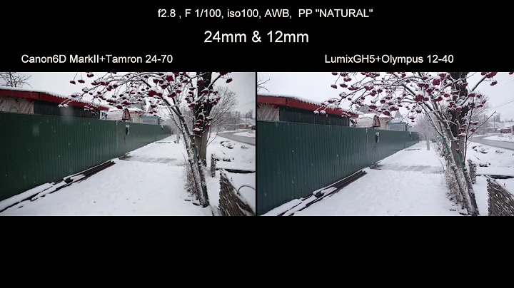 Canon 6D MarkII vs Lumix GH5. 1