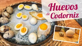 COMO COCER HUEVOS DE CODORNIZ | Tiempo de cocción cocer, freir y a la plancha