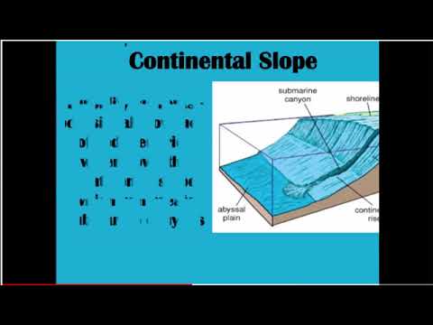 Ocean Floor The Basics For 5th Grade