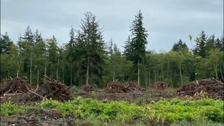 Windermere Real Estate/Whatcom, Inc. - 0 Harborview Road