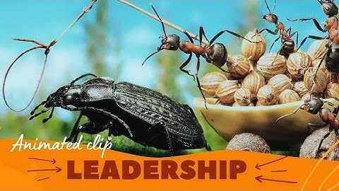 Teamwork and Leadership | Animated short clip | Creative 360 | #teamwork #leadership 17 March 2024