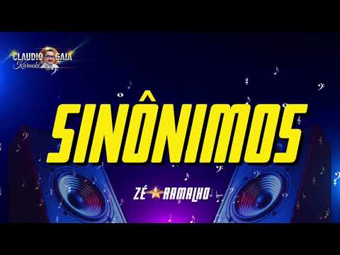 KARAOKÊ - SINÔNIMOS - ZÉ RAMALHO ( VERSÃO 2 DO CANAL)