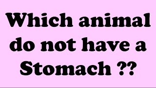 Amazing Facts About Animals | Which Animal Do Not Have A Stomach? | Simple GK | GK Quiz