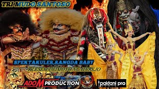 KUDA KEPANG,TRI MUDO SANTOSO,,KLESEM DLIMOYO ,NGADIREJO DALAM RANGKA NYADRAN