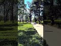 Raahi manwa #nature #himachalwheather #travel #subscribe #trending #lifestyle #motivation #viral