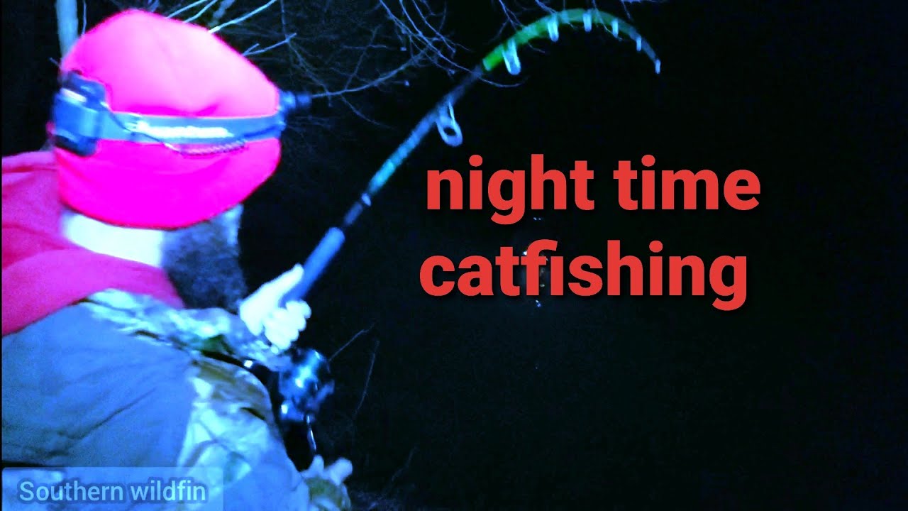 Catfishing at night from the bank YouTube