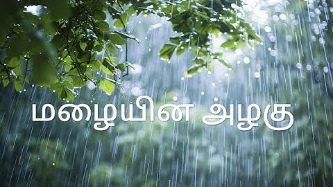 Beautiful nature rain🌧 video#naturelovers #naturelovers #nature 