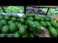 HUGE AVOCADOS in RIO DE JANEIRO : this is a MUST HAVE for VEGETARIANS and people on KETO diet