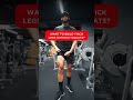 Leg workout at the gym for beginners