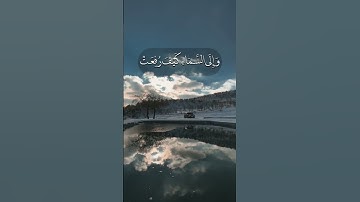 عبد الرحمن مسعد سورة الغاشية _ abdulrhman mosad